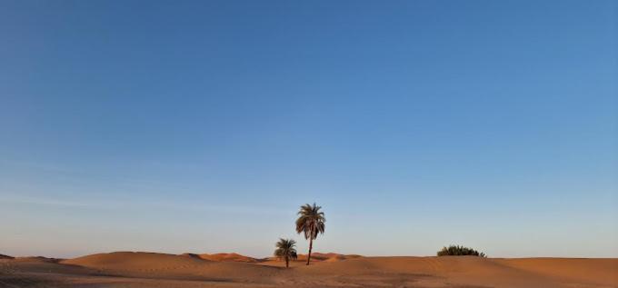 Kasbah Hotel Panorama Merzouga Extérieur photo
